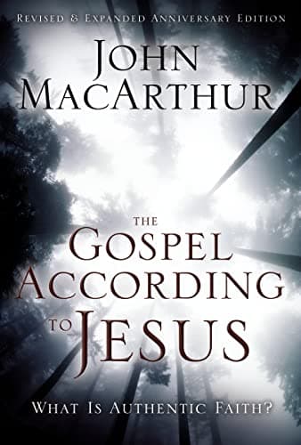 Cover of The Gospel According to Jesus: What Is Authentic Faith?